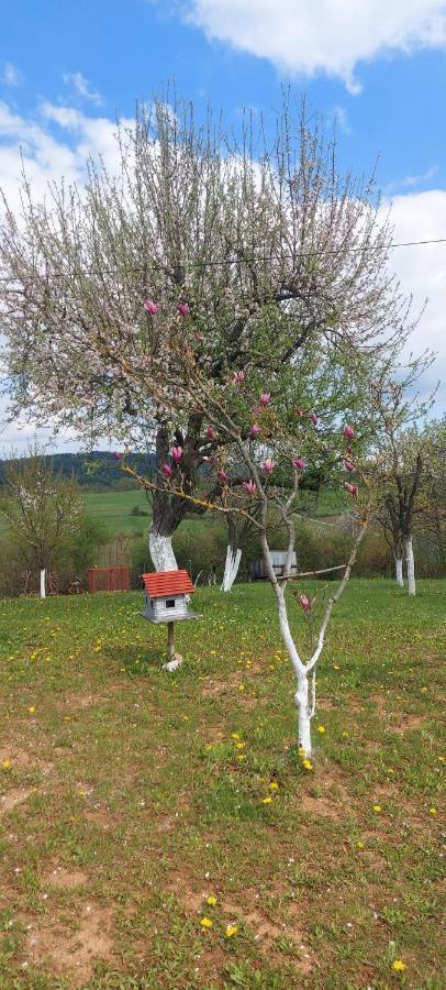 Guesthouse Miha Rakovica Eksteriør billede
