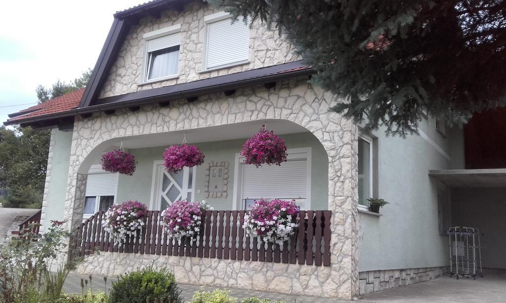 Guesthouse Miha Rakovica Eksteriør billede